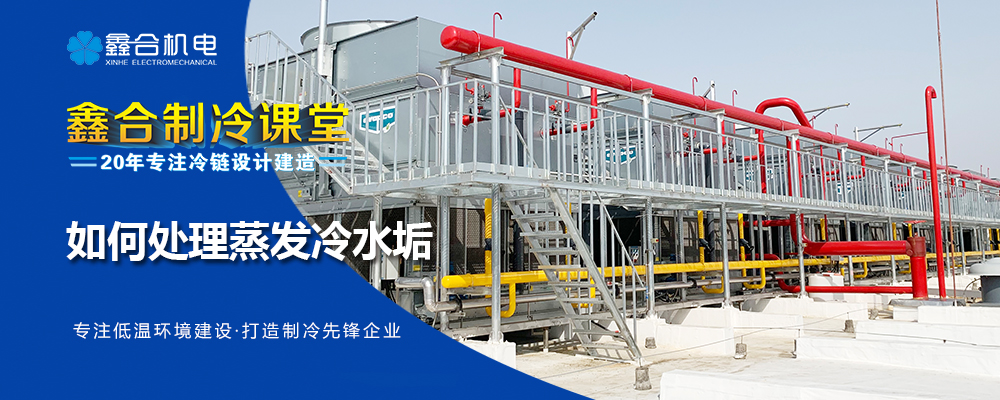 1751262395683500.jpg 25630.jpg